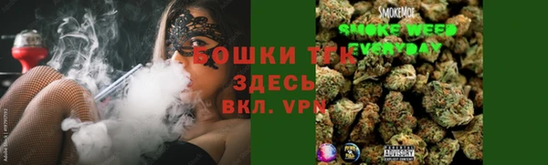крисы Каменка