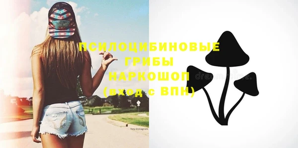 стафф Инсар