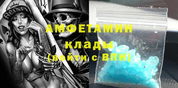 крисы Каменка