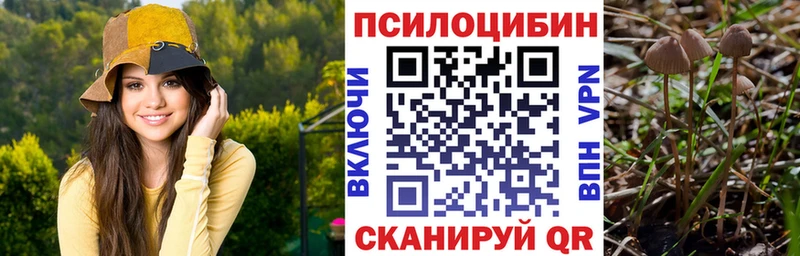 Псилоцибиновые грибы Magic Shrooms  Набережные Челны 