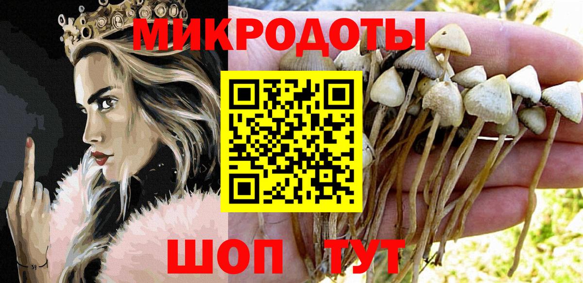 Галлюциногенные грибы MAGIC MUSHROOMS  Вход с VPN  Псилоцибиновые грибы Cubensis  Набережные Челны 